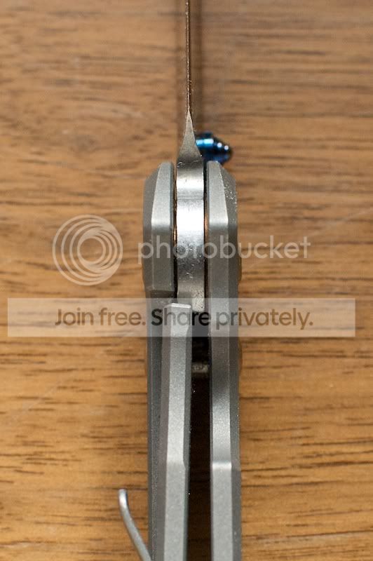 SmallSebenza213-1.jpg