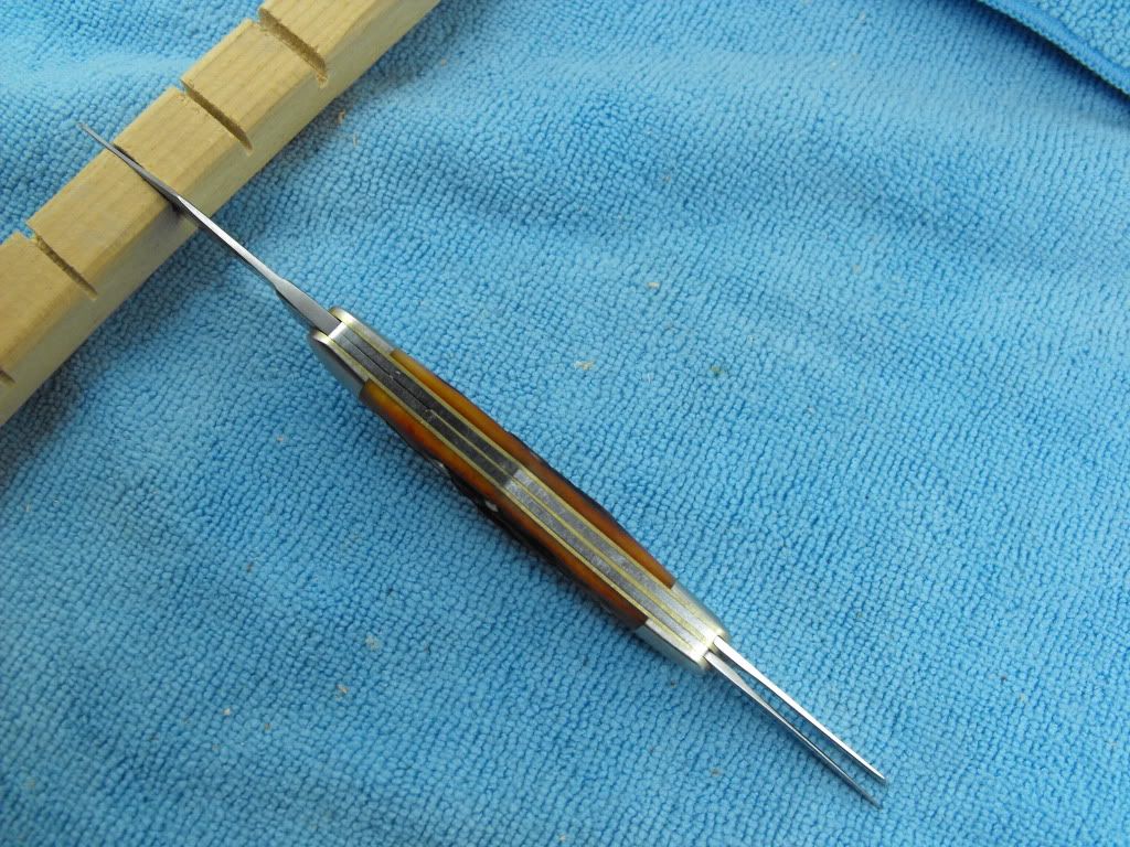 DSCF1017.jpg