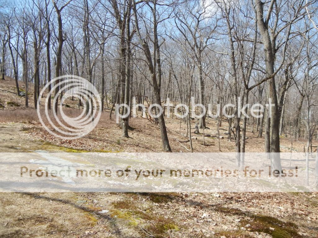 Newpics001-1.jpg