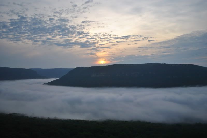 DSC_3360.jpg