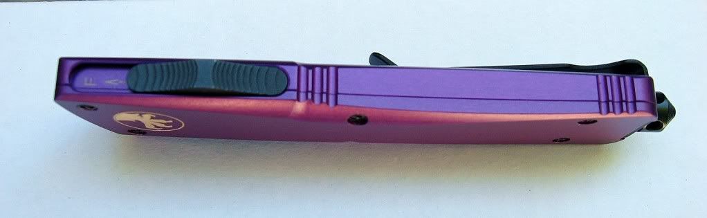 PurpleTroodon02.jpg