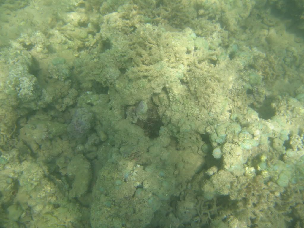 IMG_9056.jpg