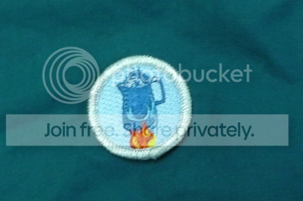 MeritBadge001.jpg
