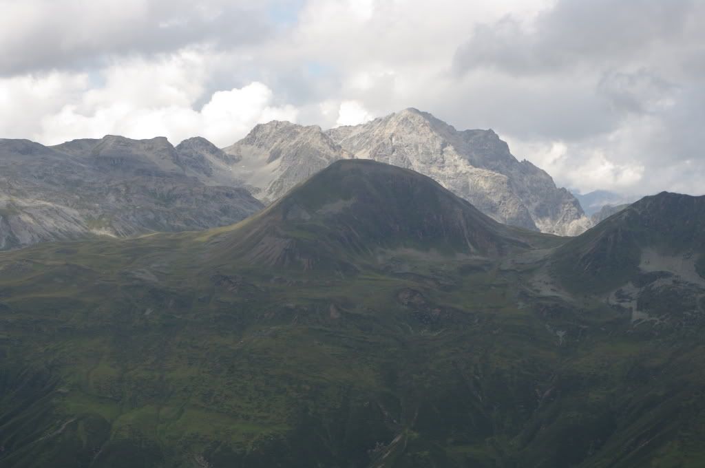 IMGP0788.jpg