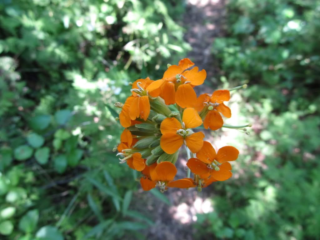 IMG_1440.jpg