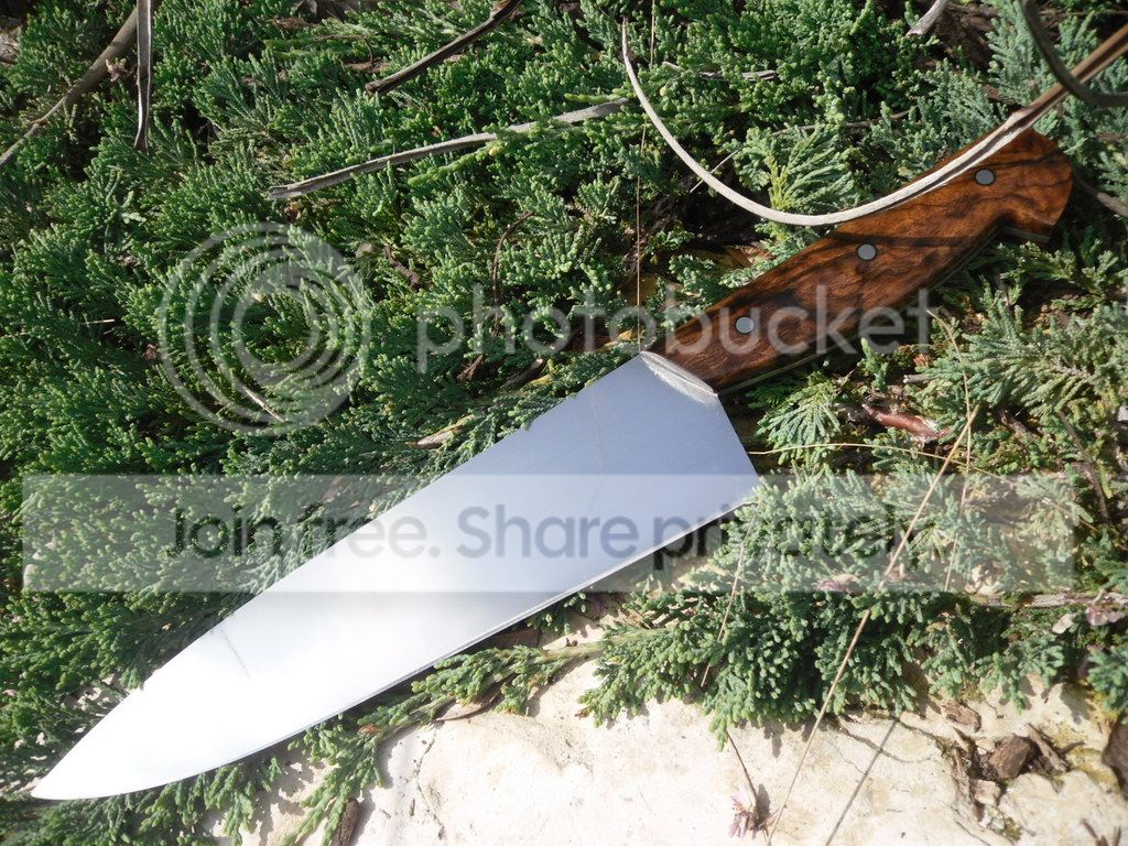 001_zpsfiv25iaf.jpg