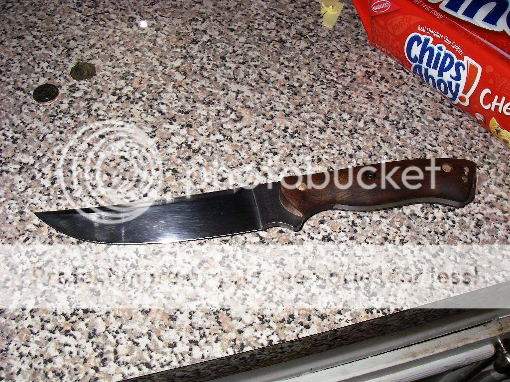 IMGP1321.jpg