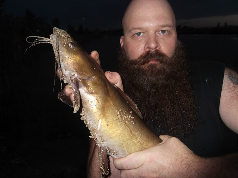 8411catfish2.jpg