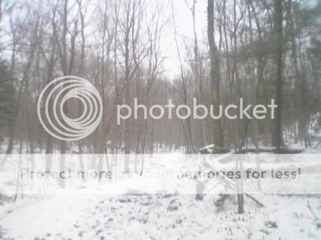 Picture002.jpg