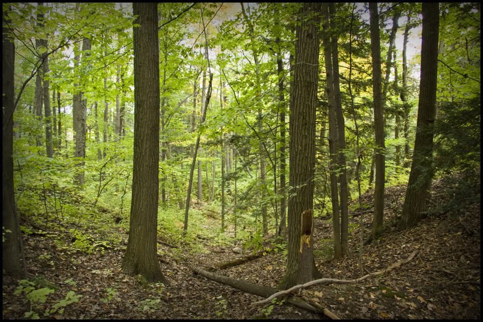 Trail3.jpg