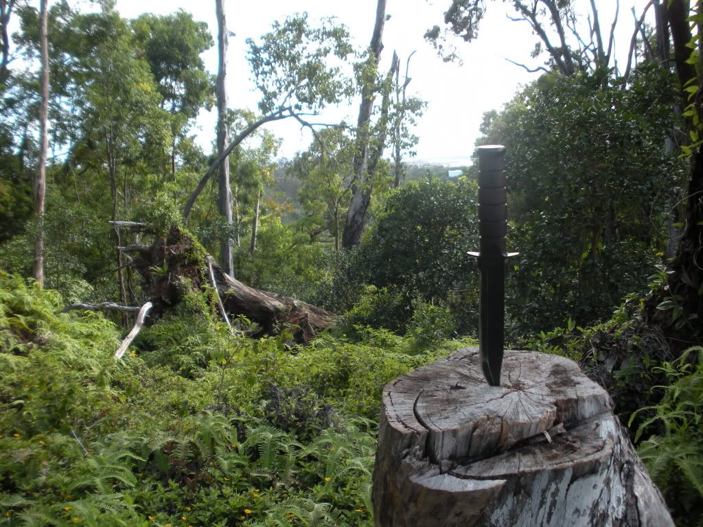 DSCN0715.jpg