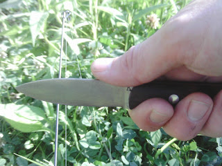 IMAG0026.JPG