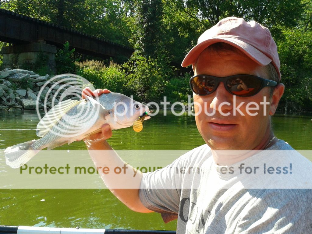 2012-06-24174012.jpg