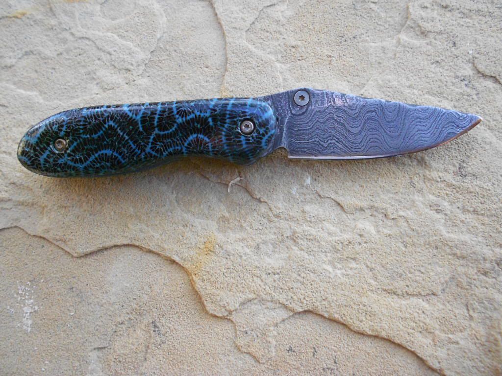 FossilcoralDam049.jpg