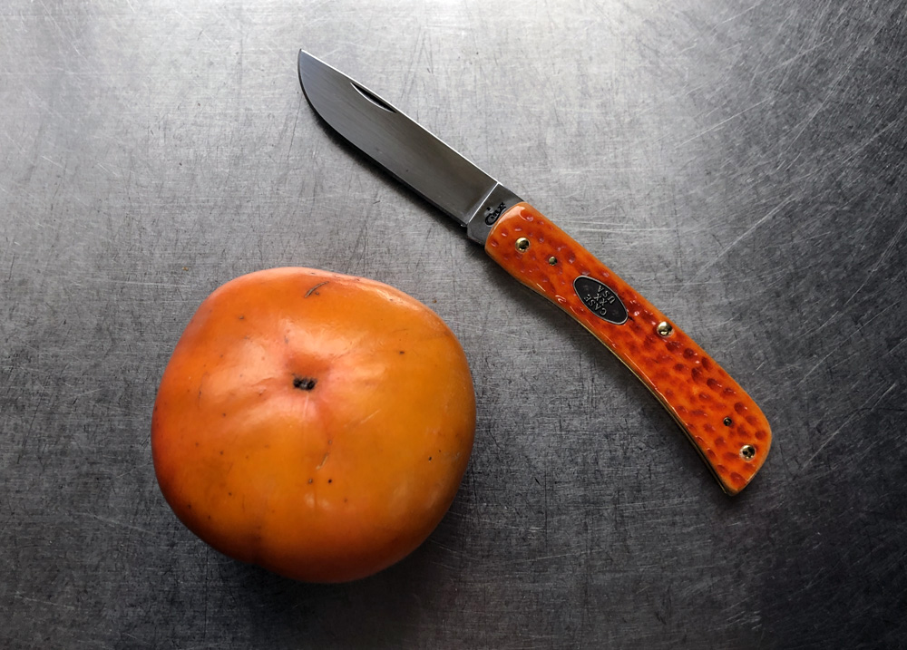 Case_persimmon.JPG