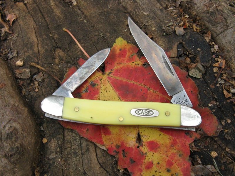 CasepenNov18.jpg