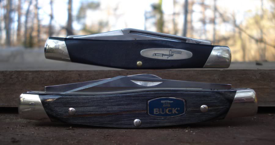 Buck301_a1.jpg