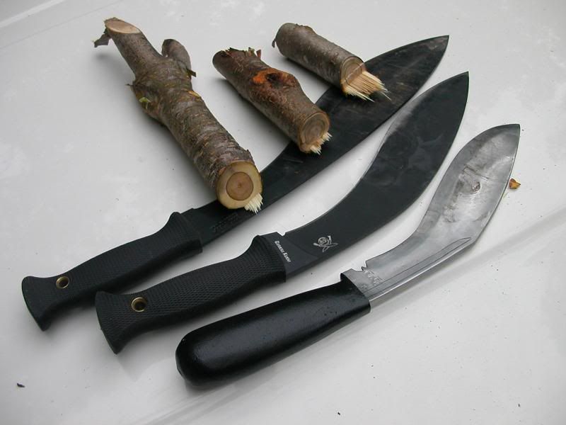 DSCN1227.jpg