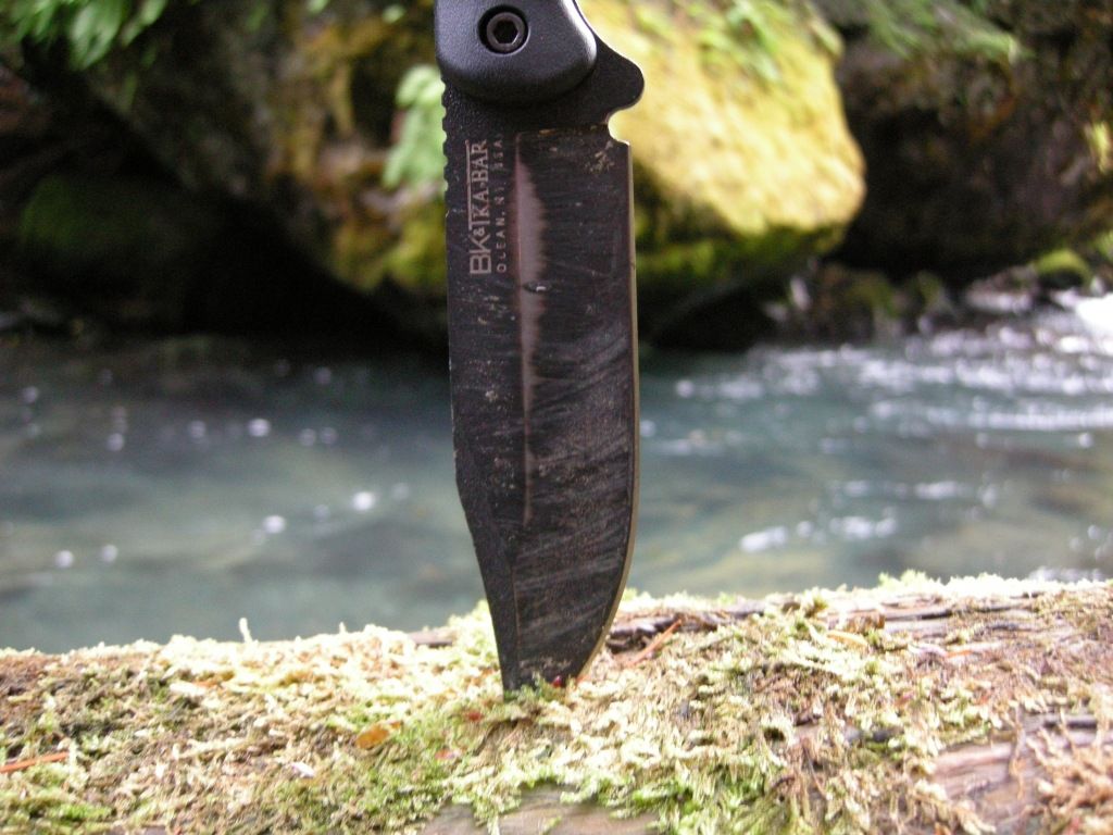DSCN2562.jpg