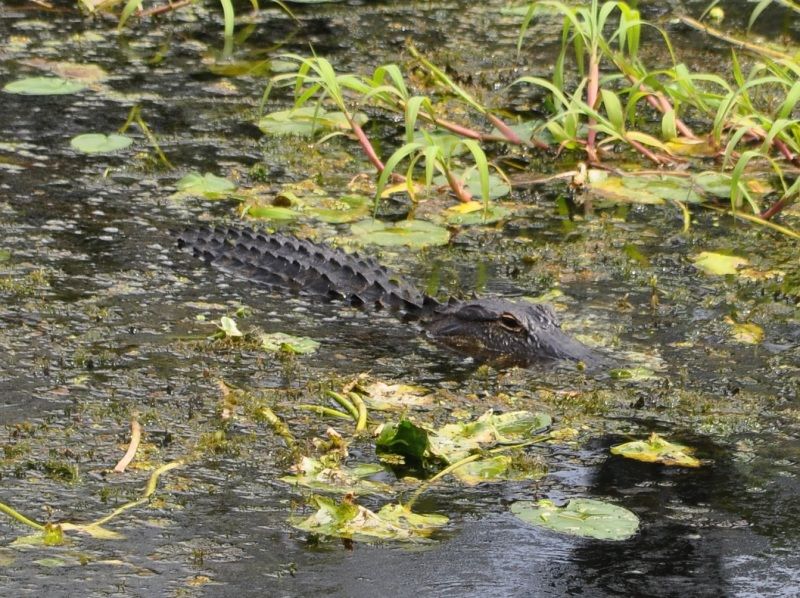 DSC_1840.jpg