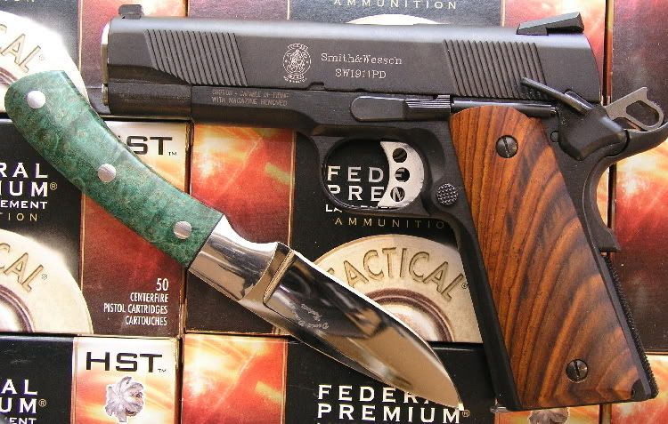 SW1911PDandDempseyAPU.jpg