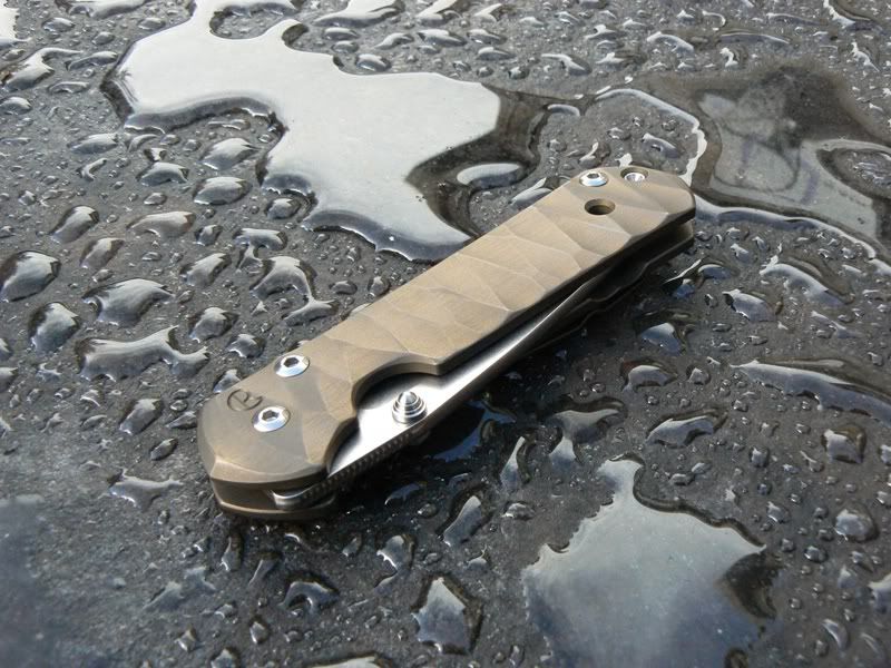 Sebenza.jpg