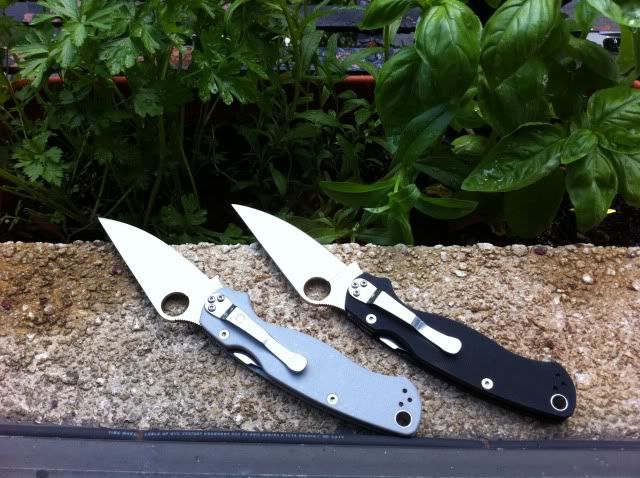 para2pair2.jpg