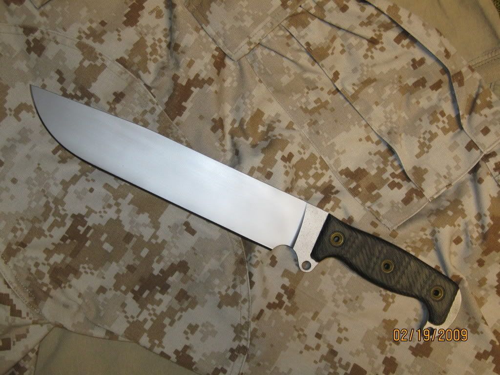 2-19-09026.jpg
