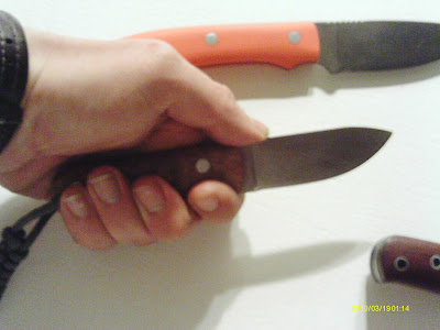 IMAG0146.JPG