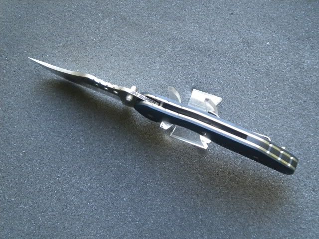 antsp.jpg