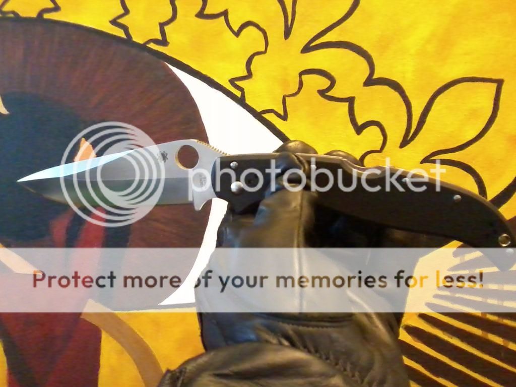 Photo0290_zpsqibudwog.jpg~original