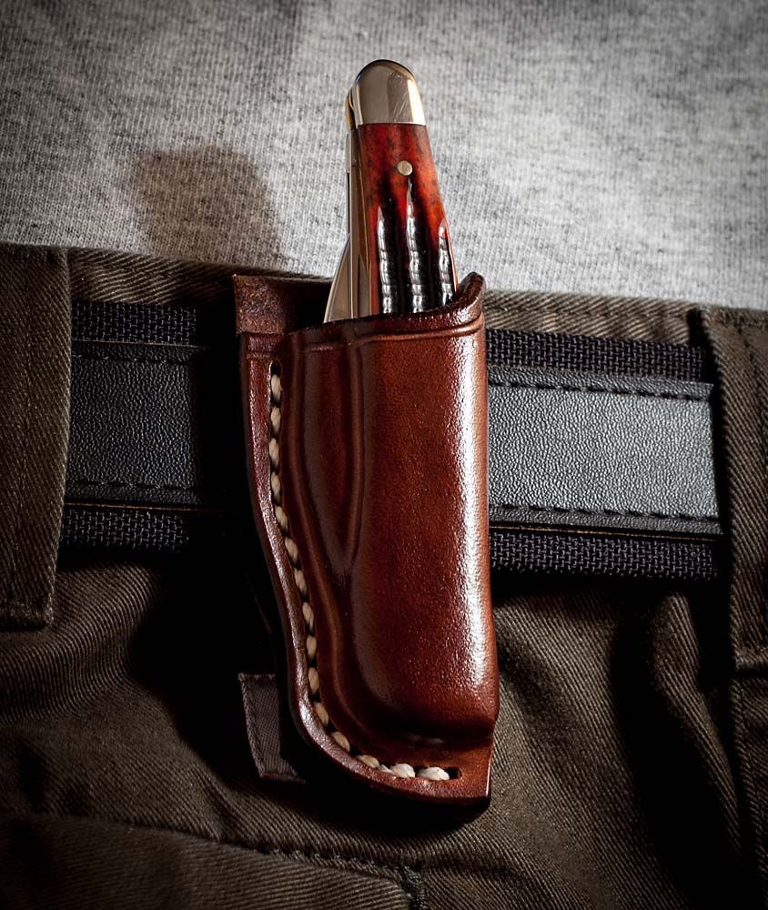 Seahorse_sheath_4.jpg~original
