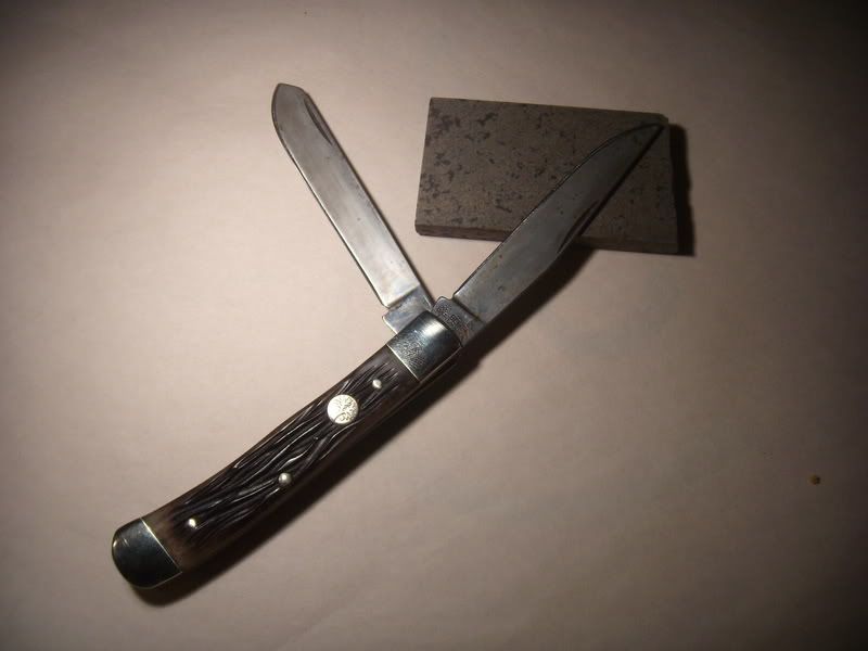 DSCN3395.jpg