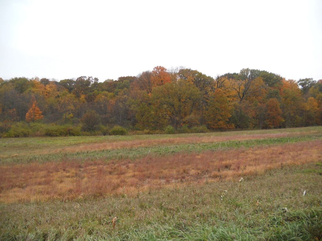 016-6.jpg