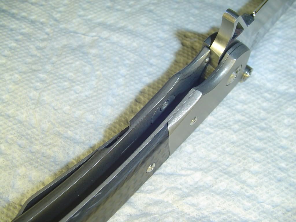 DSC04463.jpg
