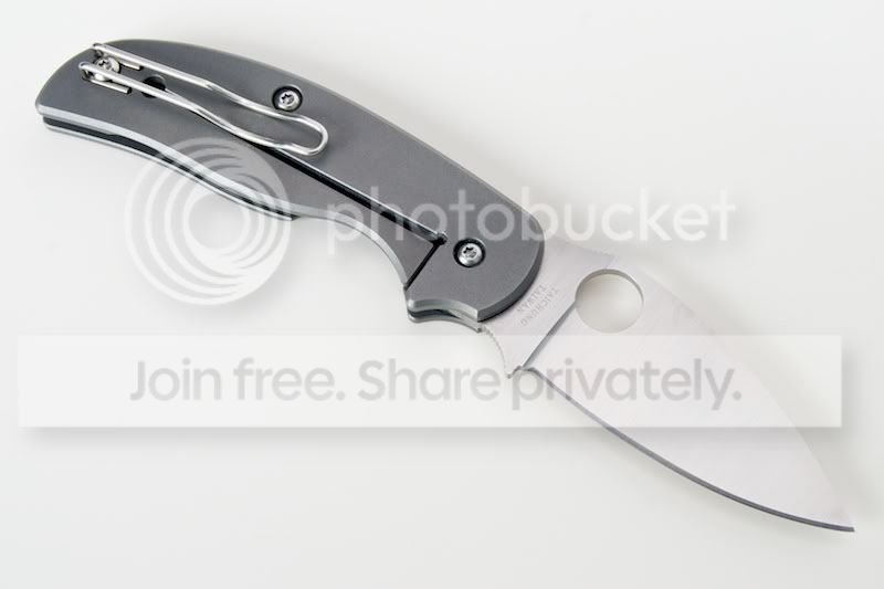 SpydercoSage2_02.jpg