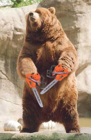 BearChainsaw-1.jpg