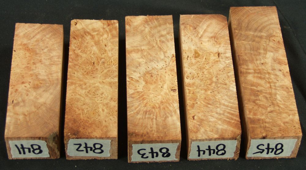 1b-33.jpg