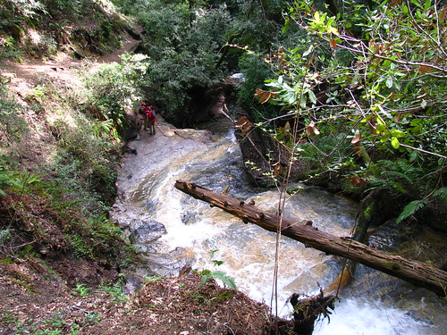 3340605948_da58485aab.jpg