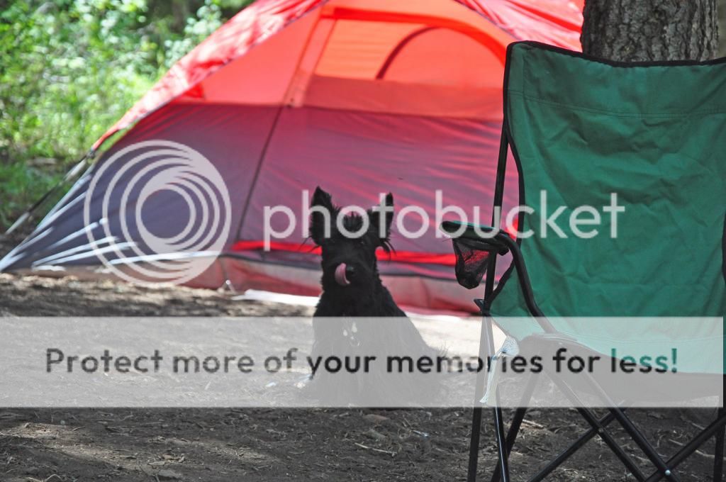DuncanCamping_zps7d5057e0.jpg