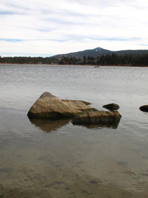 IMG_6307.jpg