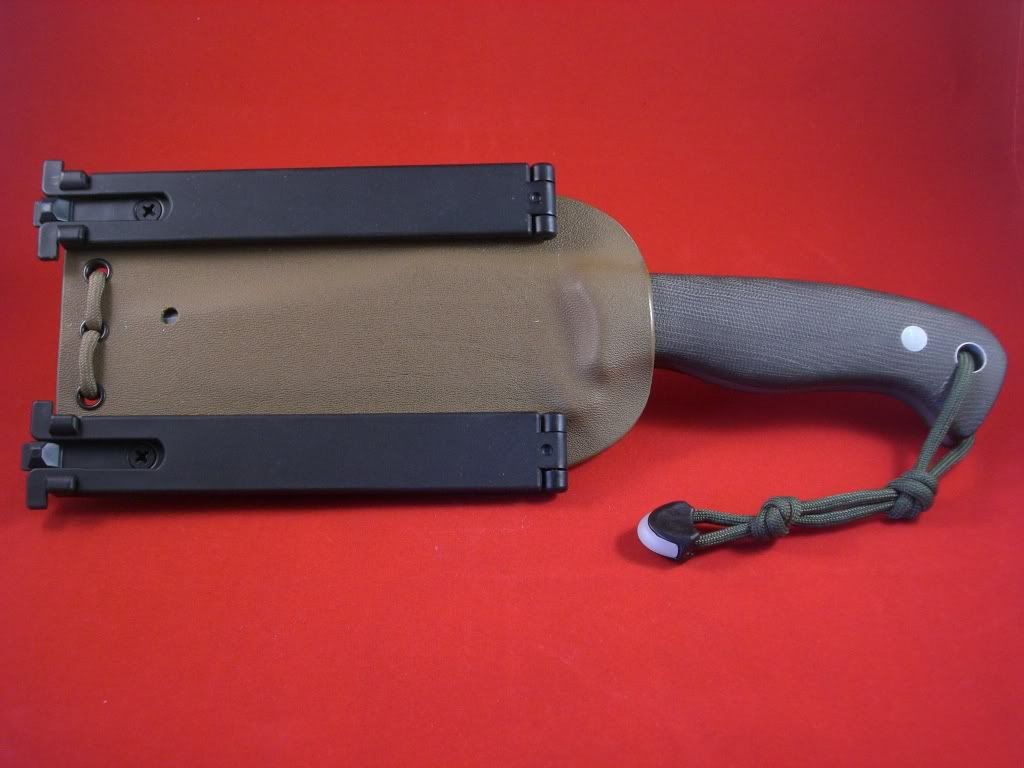 CIMG0041.jpg