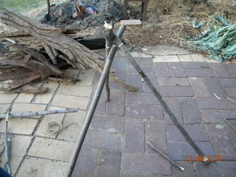 DSCN3139.jpg