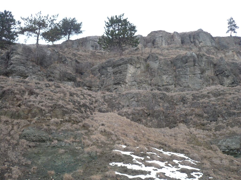 P1050624.jpg