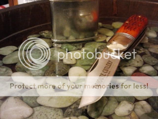 2011-11-02213912.jpg