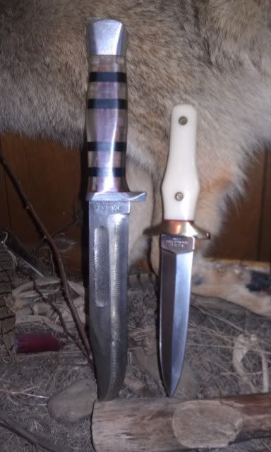 IMAG0256.jpg