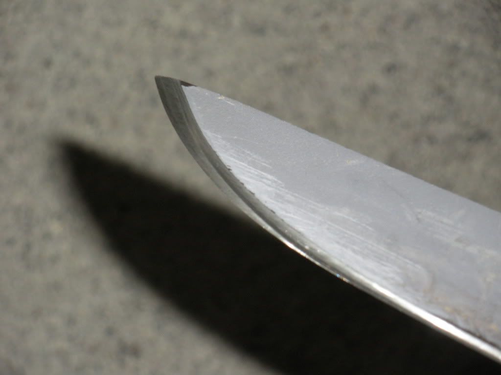 DSCN2995.jpg