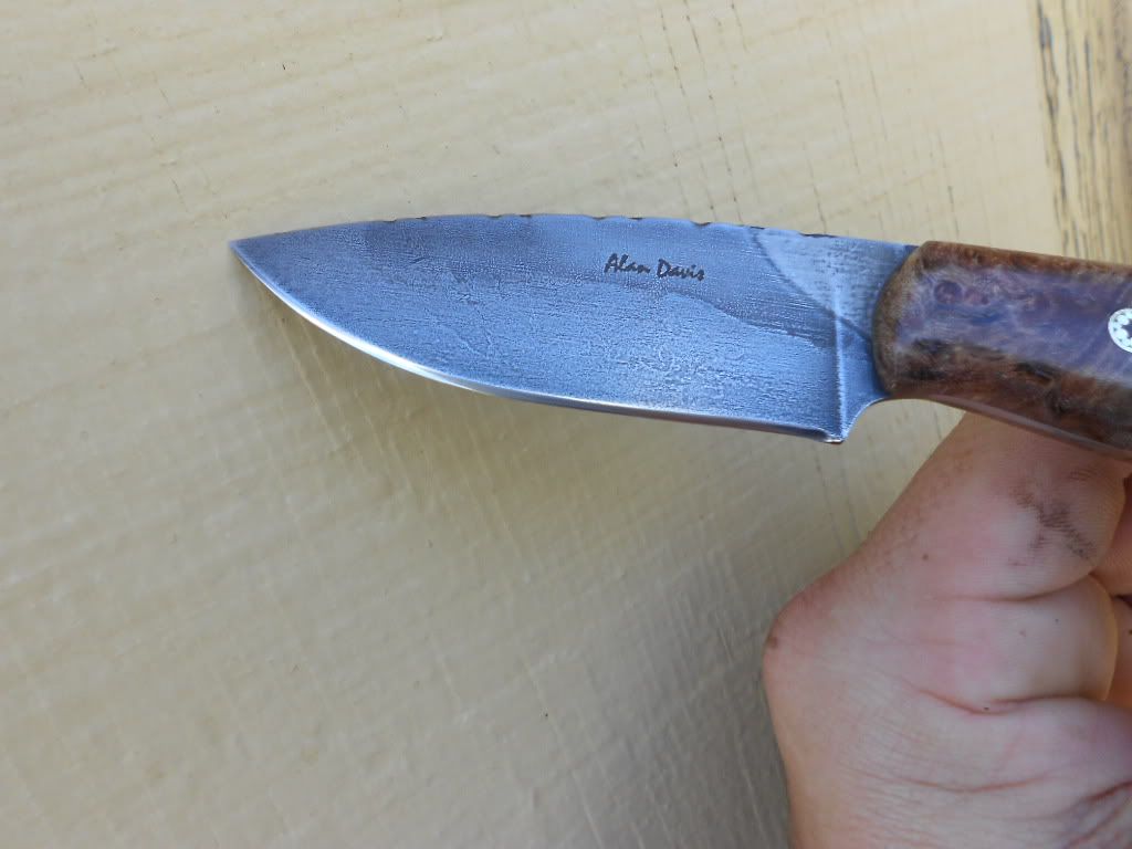 Mapleedc016.jpg