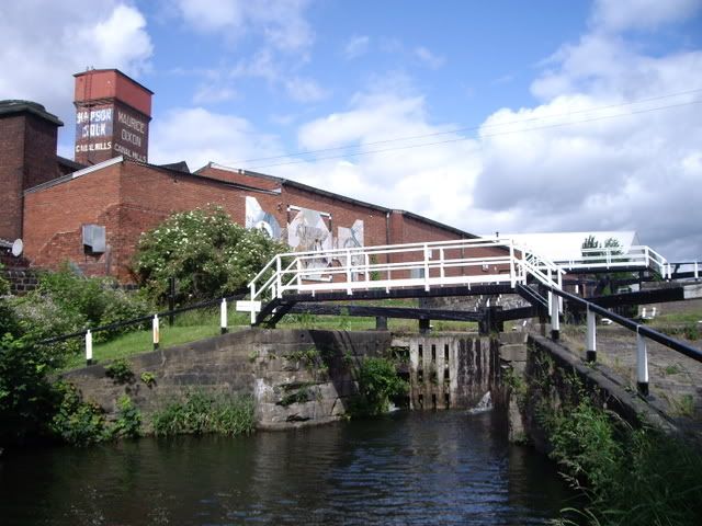 IMGP0519.jpg