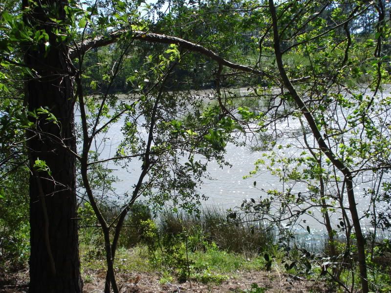 20090402_29.jpg